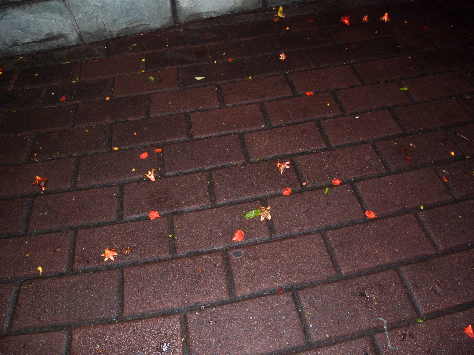 今夜无风 image 11